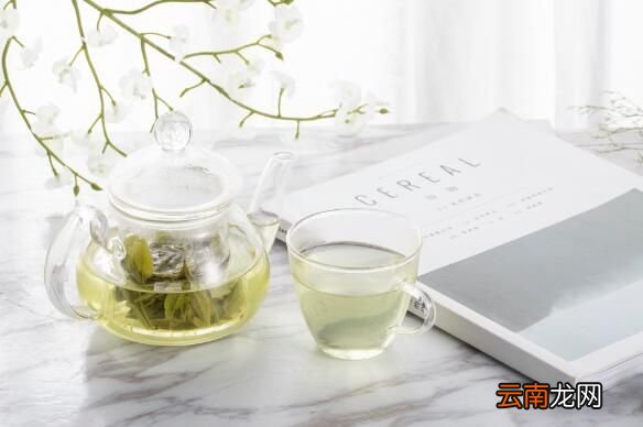 驱蚊蝇最有效的方法 什么方法驱蝇效果最好