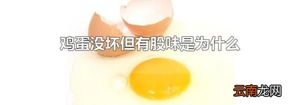 鸡蛋没坏但有股味是为什么