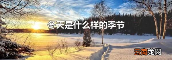 冬天是什么样的季节