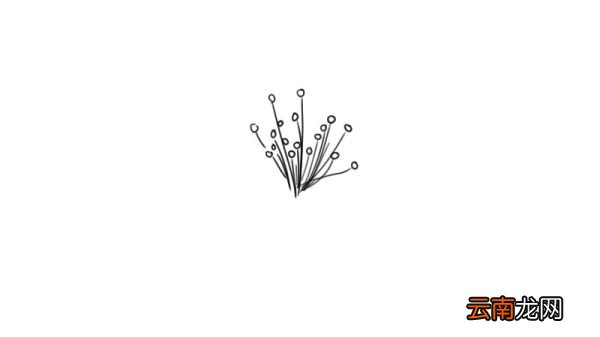 桃花简笔画 桃花怎么画