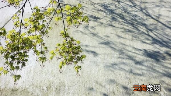 《春暮西园》赏析《春暮西园》的赏析
