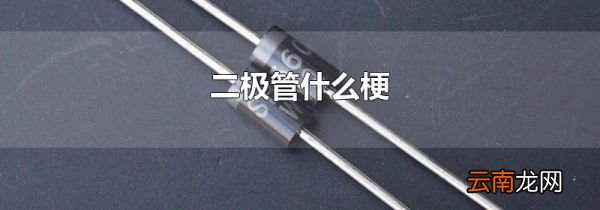 二极管什么梗