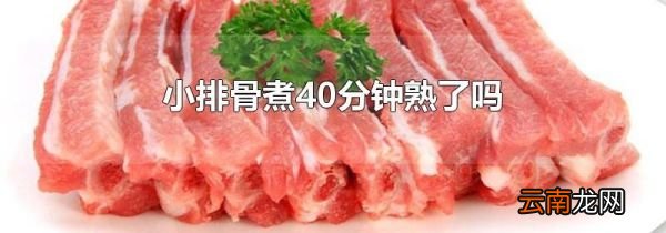 小排骨煮40分钟熟了吗