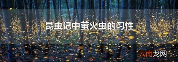 昆虫记中萤火虫的习性