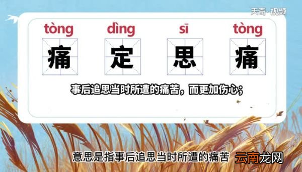 痛定思痛是什么意思 痛定思痛的意思