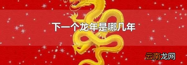 下一个龙年是哪几年
