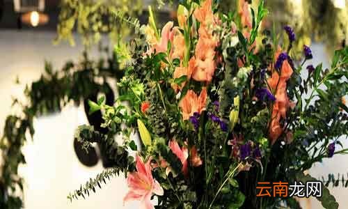 插花要领 插花技巧