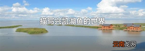 描写兴凯湖鱼的世界