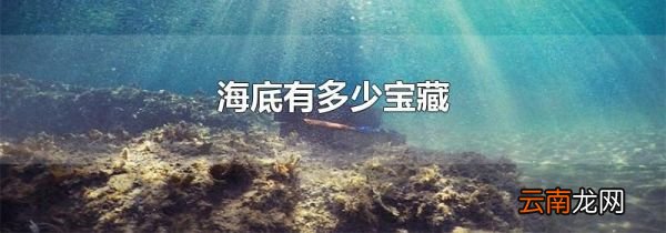 海底有多少宝藏