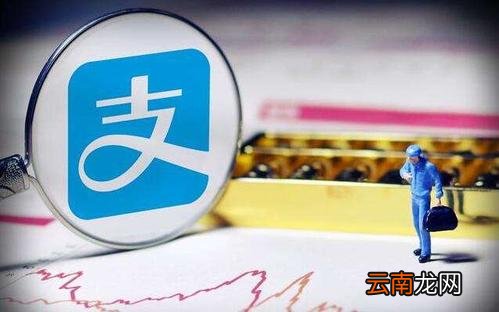 支付宝中找到理财月报具体操作步骤