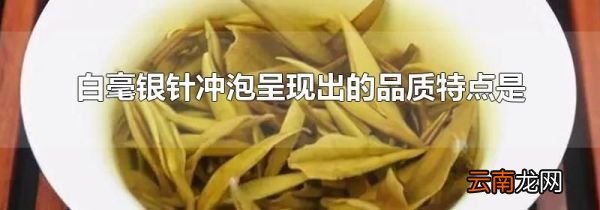 白毫银针冲泡呈现出的品质特点是