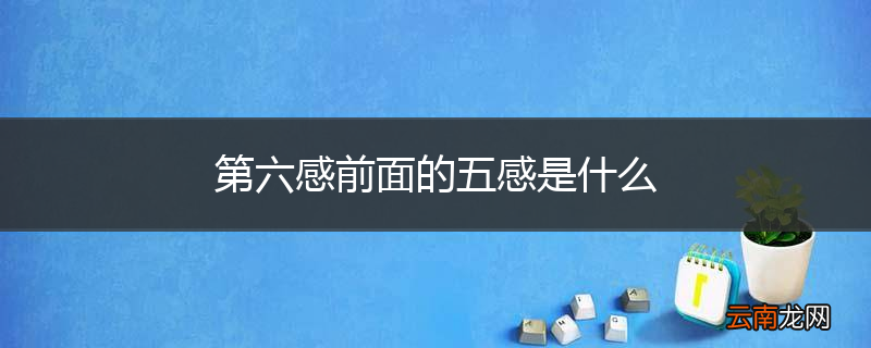 第六感前面的五感是什么
