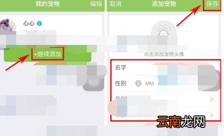 握爪宠物app中添加宠物具体操作流程