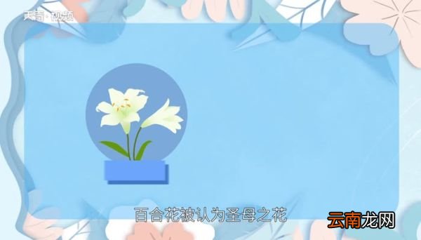 教师节送老师什么花 教师节适合送老师什么花