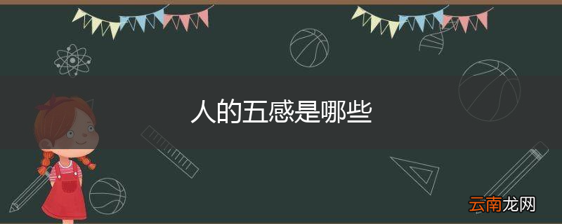 人的五感是哪些