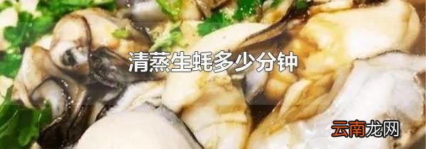 清蒸生蚝多少分钟