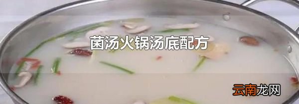 菌汤火锅汤底配方