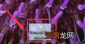 windows7系统中安装itunes的详细操作步骤