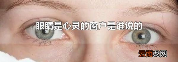 眼睛是心灵的窗户是谁说的