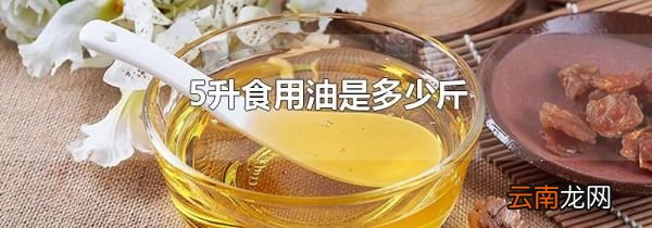 5升食用油是多少斤