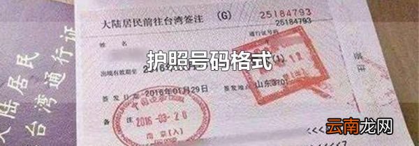 护照号码格式