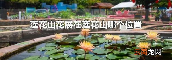 莲花山花展在莲花山哪个位置