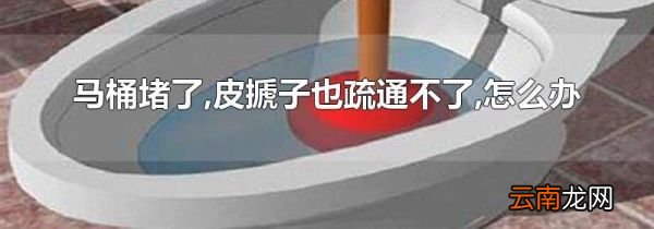马桶堵了,皮搋子也疏通不了,怎么办