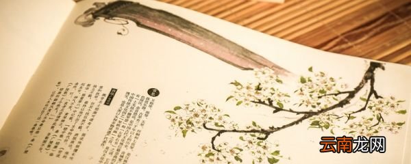 洛阳亲友如相问一片冰心在玉壶出自唐朝诗人王昌龄的什么 洛阳亲友如相问一片冰心在玉壶出自王昌龄的什么