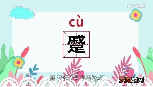 蹙怎么读 蹙怎么读法