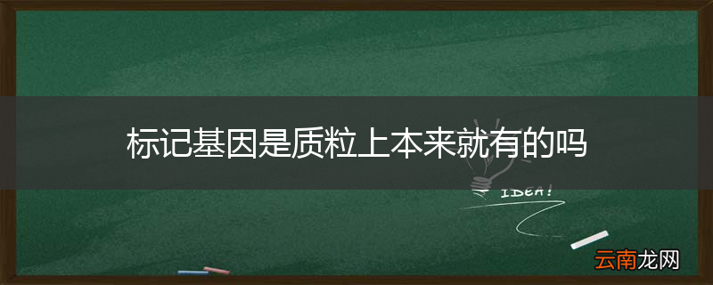 标记基因是质粒上本来就有的吗