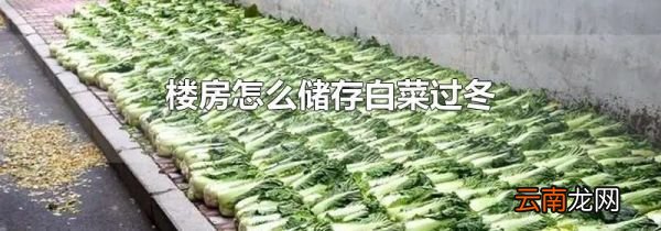 楼房怎么储存白菜过冬