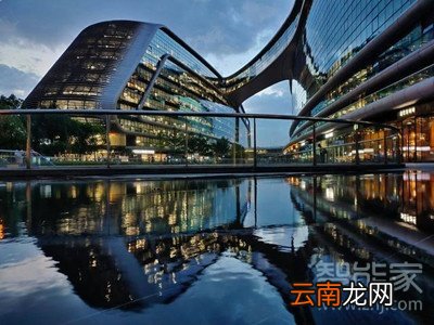iqoopro是什么处理器