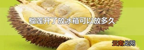 榴莲开了放冰箱可以放多久