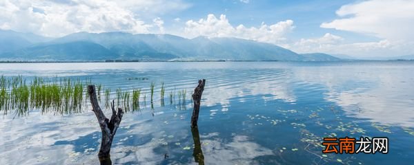 洱海是淡水还是咸水 洱海属于什么类型湖