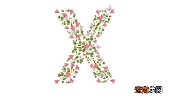 x的笔顺 x字母先写哪一笔