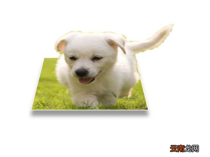 使用ppt制作出3d立体效果图片的具体操作方法