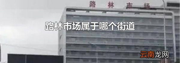 路林市场属于哪个街道