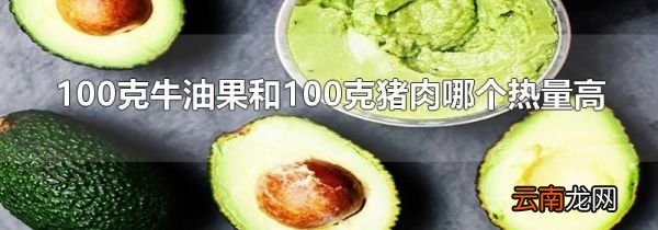 100克牛油果和100克猪肉哪个热量高
