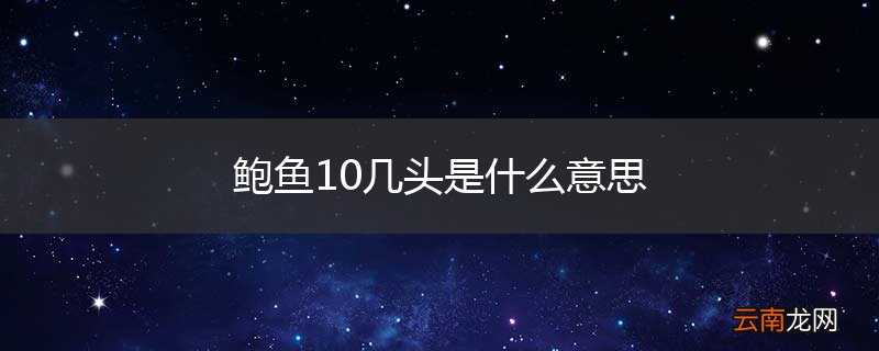 鲍鱼10几头是什么意思