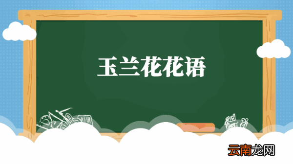 玉兰花的花语 玉兰花的花语是什么