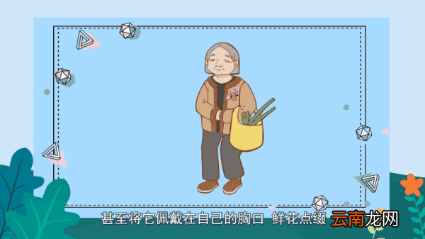 玉兰花的花语 玉兰花的花语是什么