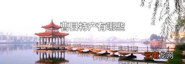 曹县特产有哪些