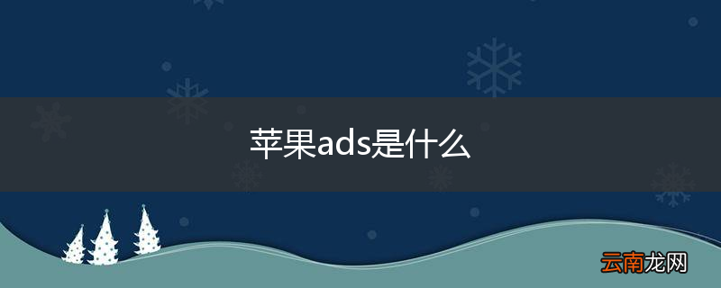 苹果ads是什么