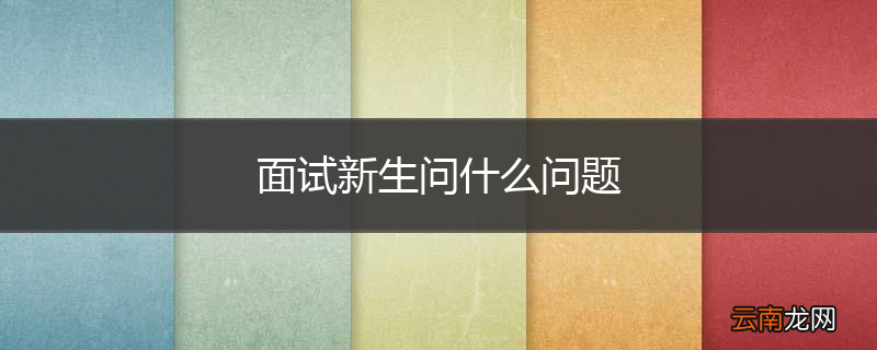 面试新生问什么问题