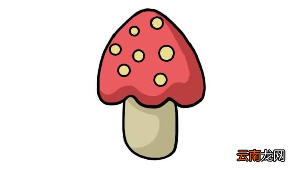 花蘑菇简笔画 花蘑菇简笔画怎么画