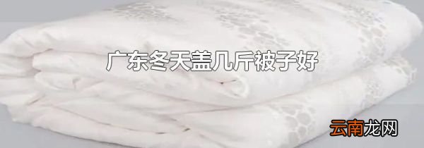广东冬天盖几斤被子好