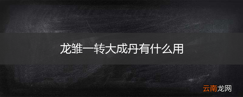 龙雏一转大成丹有什么用