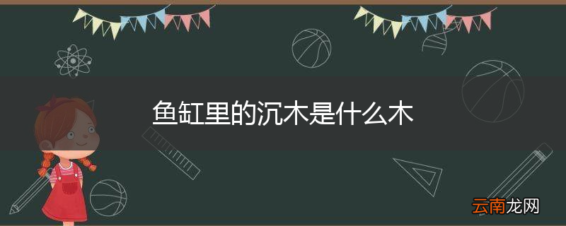 鱼缸里的沉木是什么木