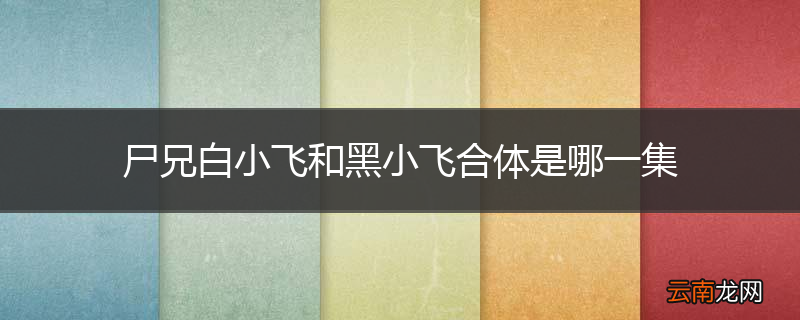 尸兄白小飞和黑小飞合体是哪一集