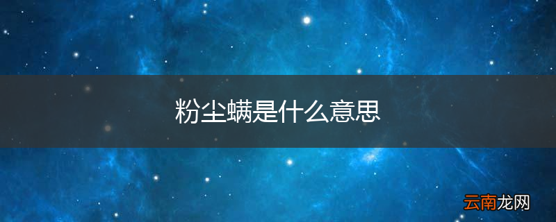 粉尘螨是什么意思